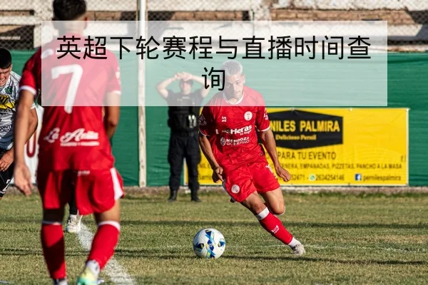 CBA常规赛球队轮换与替补得分效率统计